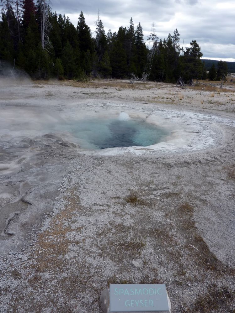 Yellowstone Old faithfull et ses environs (123).JPG